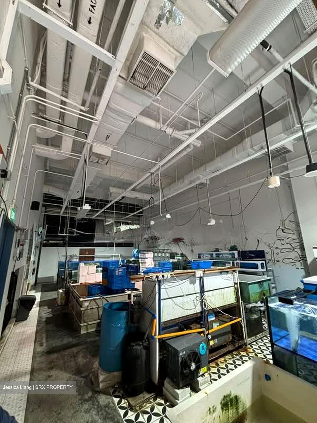 JTC Space @ Tampines North (D18), Warehouse #604750761